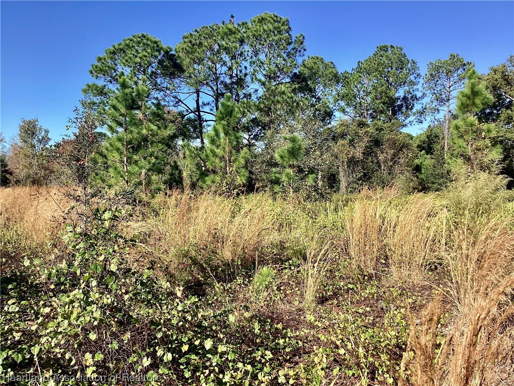 808 South Gabriel Road Avon Park, FL 33825 - Photo 5 of 5 Gallery Image 5