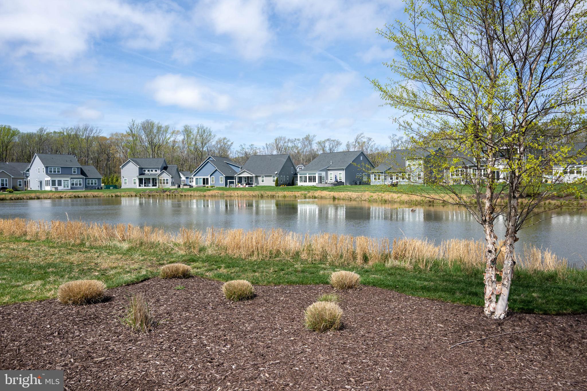 37689 Wildwood Lane Dagsboro, DE 19939 - Photo 37 of 43 View from back porch