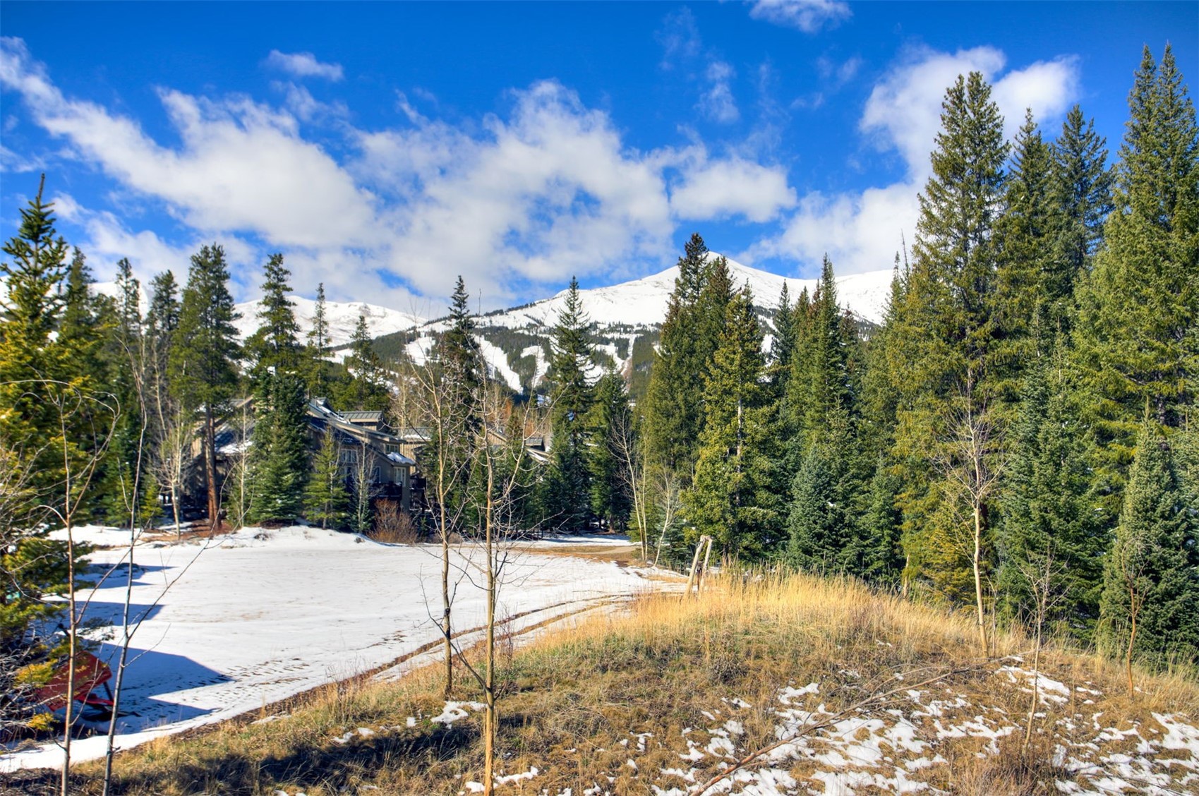 79 Cucumber Creek Road Breckenridge, CO 80424 - Photo 18 of 43 Views