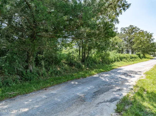 $6,000 | 299 County Road, Louin, MS 39338