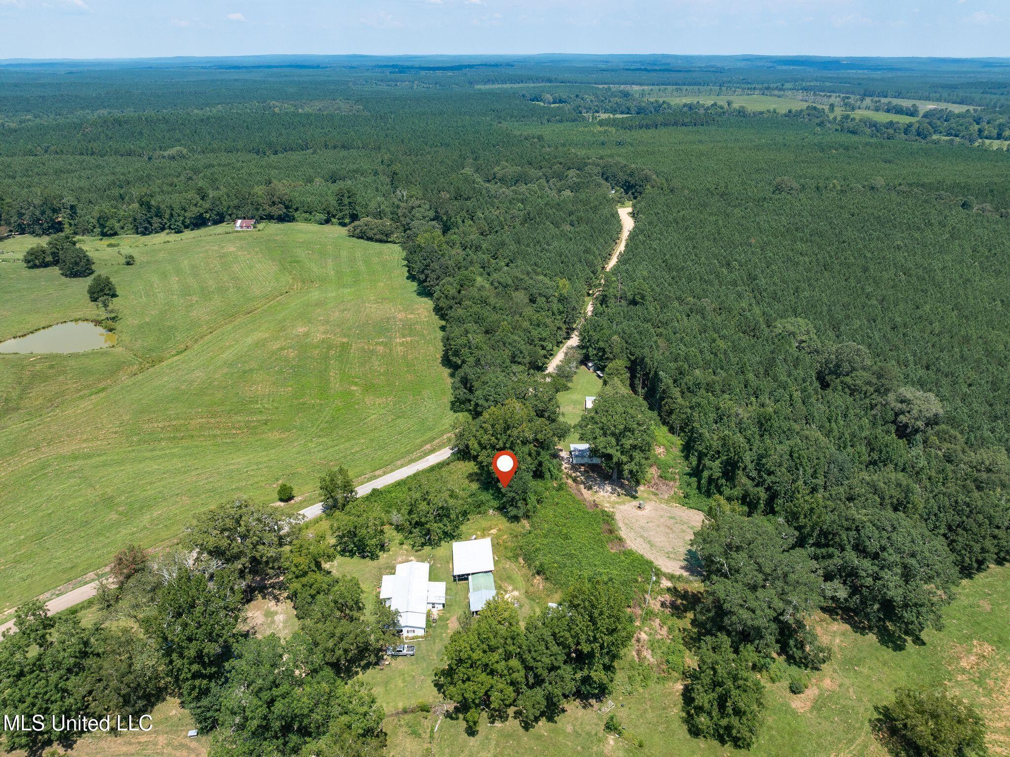 299 County Road Louin, MS 39338 - Photo 7 of 12 00_Co_Rd_299-7