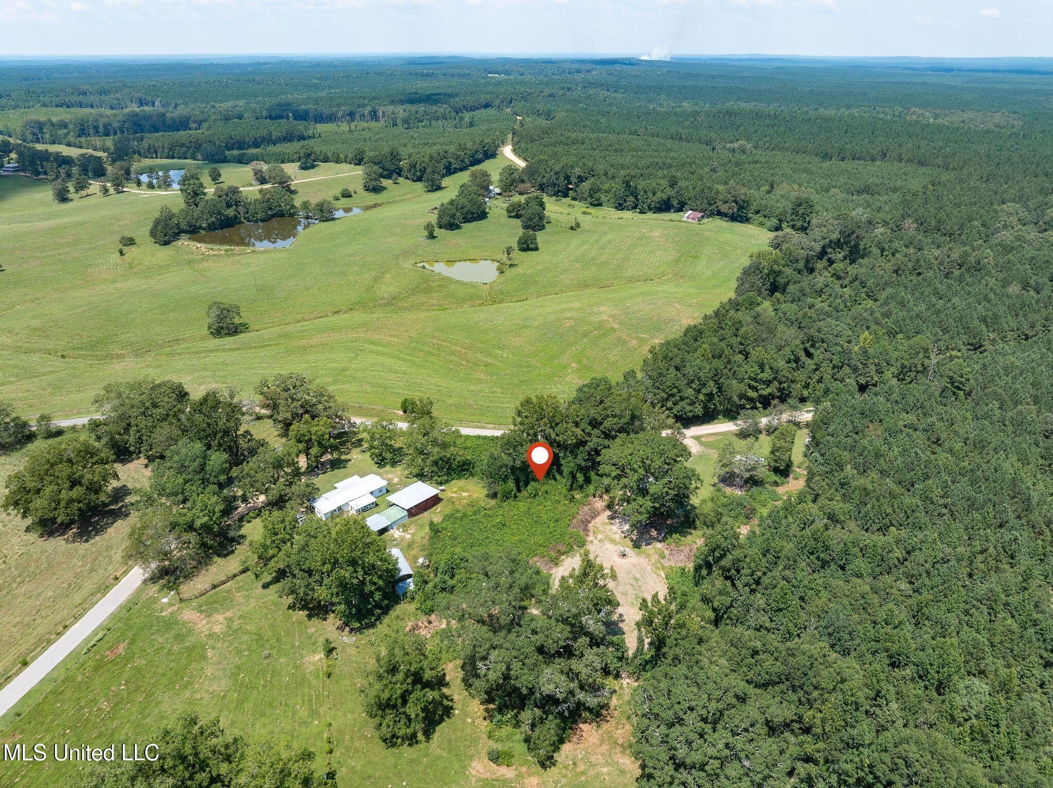 299 County Road Louin, MS 39338 - Photo 8 of 12 00_Co_Rd_299-8