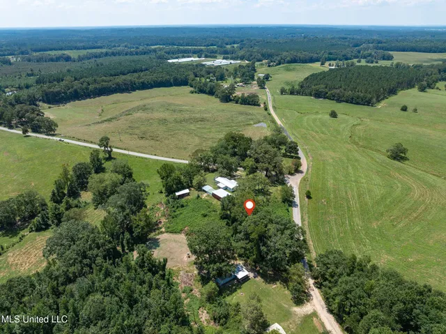 $6,000 | 299 County Road, Louin, MS 39338