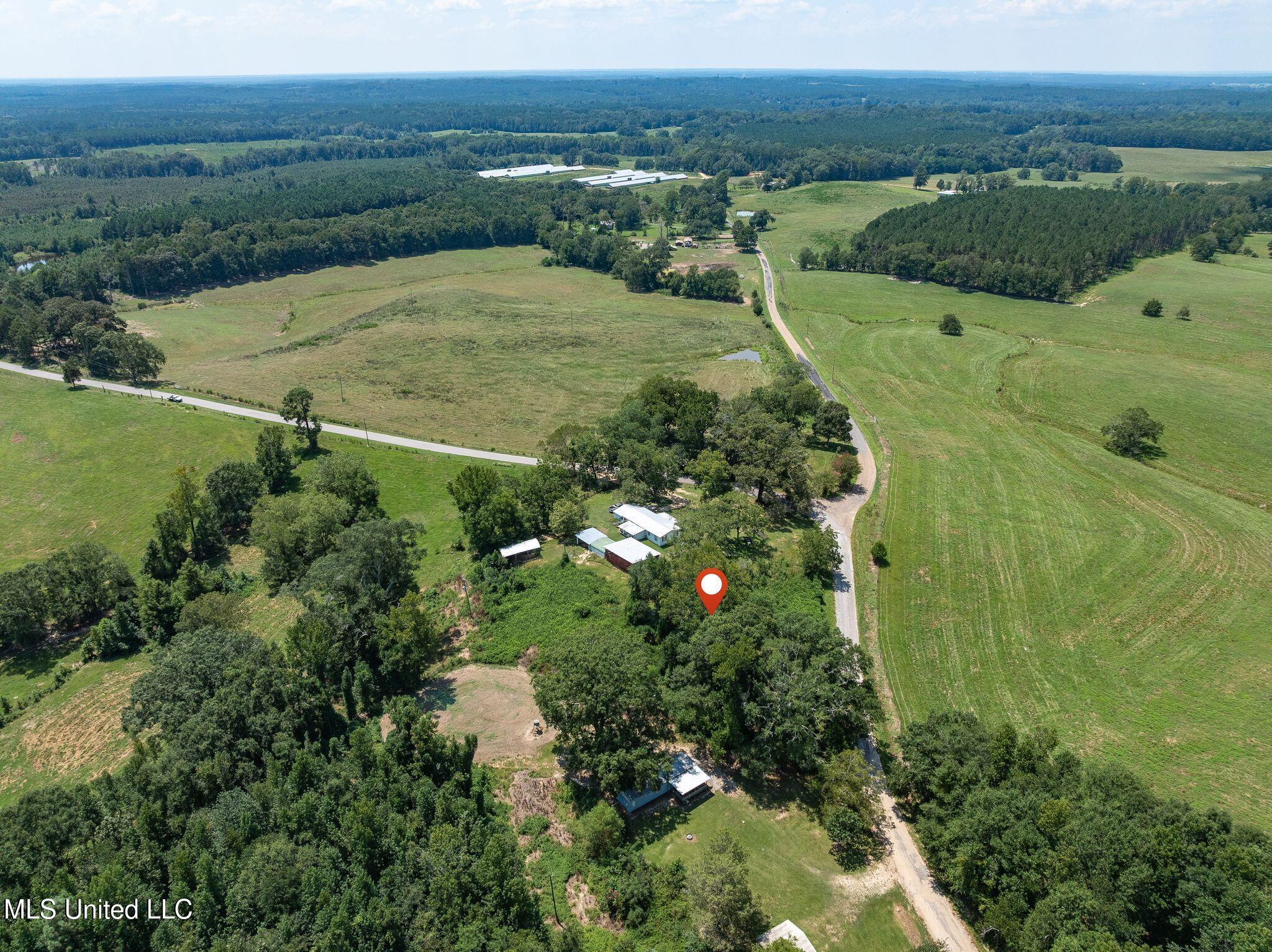 299 County Road Louin, MS 39338 - Photo 10 of 12 00_Co_Rd_299-10