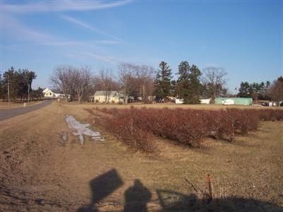 5676 Riverside Road Coloma, MI 49038 - Photo 16 of 18 Additional Photo
