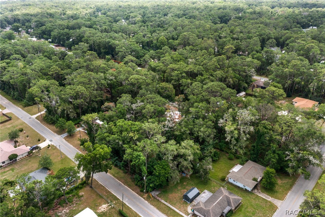 5942 East Banner Lane Inverness, FL 34452 - Photo 6 of 6