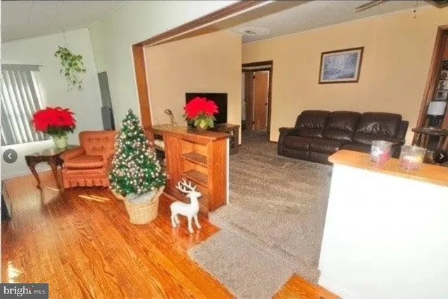 a living room with furniture and a couch