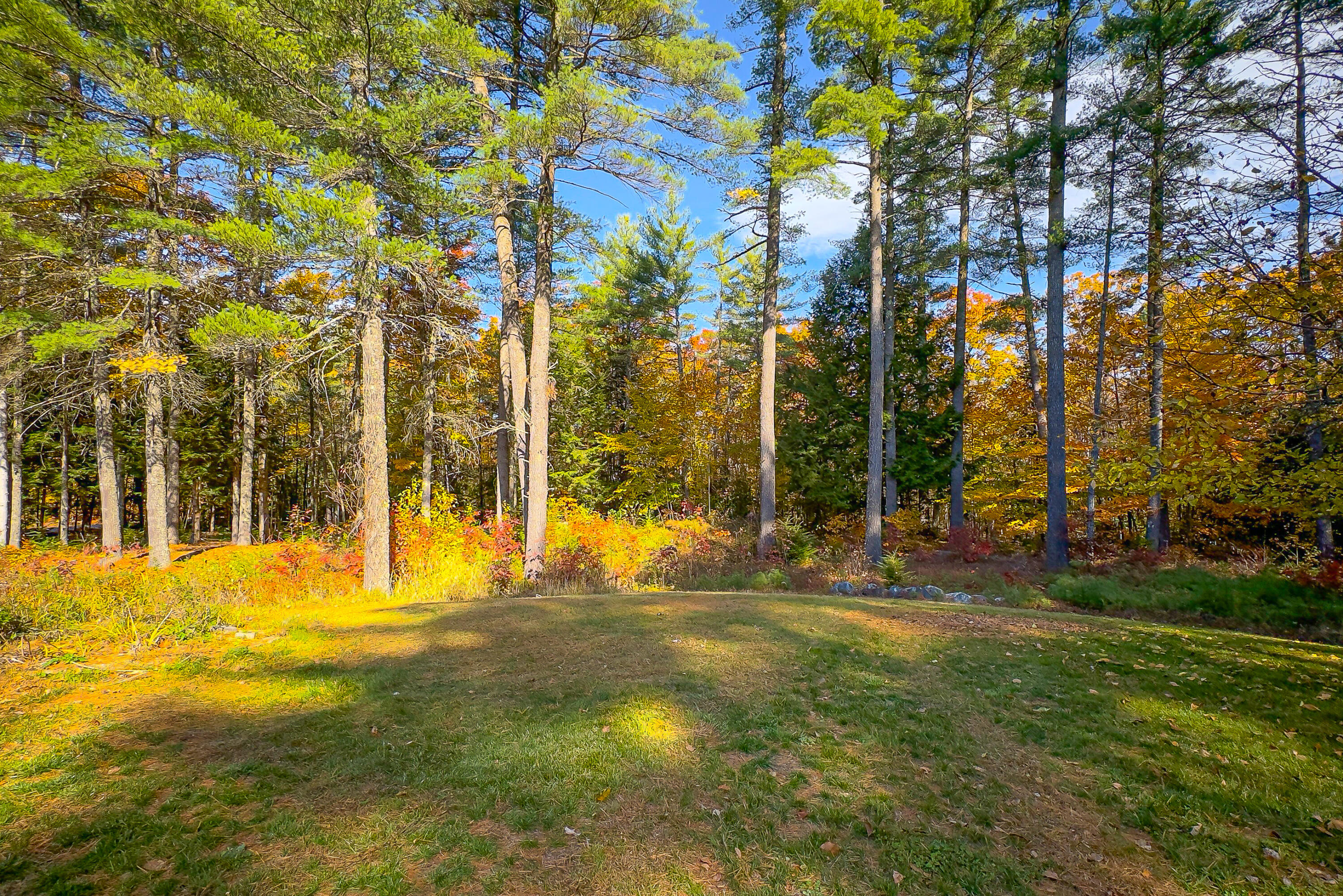 378 Old Stage Road Lovell, ME 04051 - Photo 7 of 44 Rear Yard