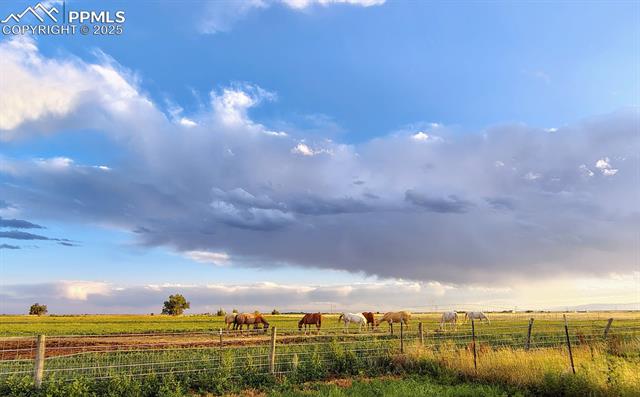 22445 Jones Road Calhan, CO 80808 - Photo 5 of 49 Gallery Image 5