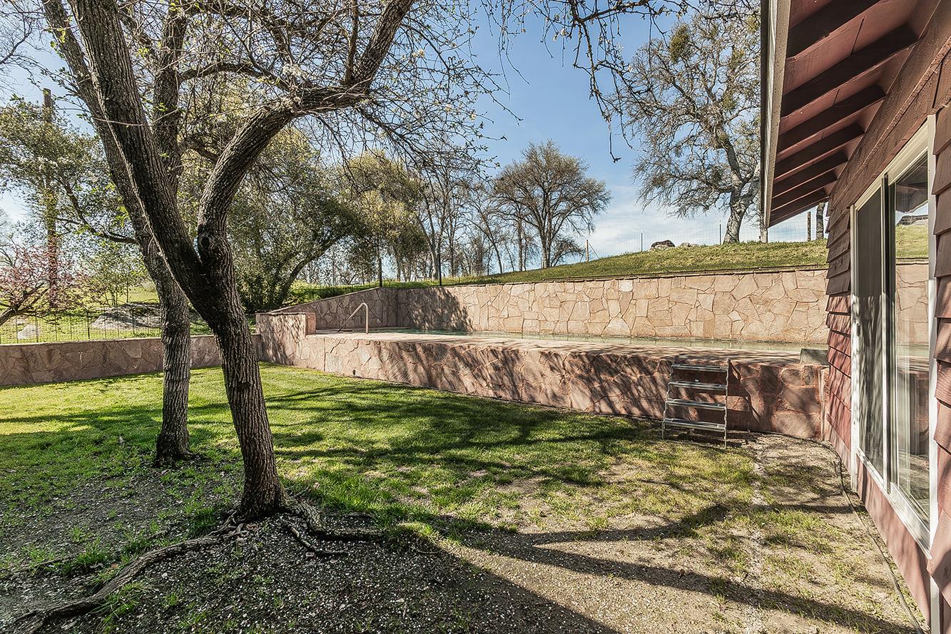 31638 Lodge Road Auberry, CA 93602 - Photo 44 of 90 a view of a garden with a tree