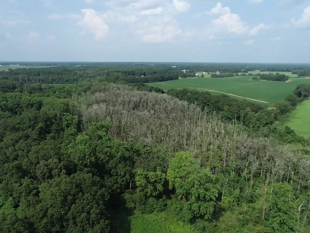132.3-ac Green Road Dothan, AL 36303 - Photo 16 of 63