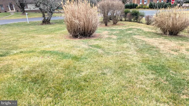 a view of a yard with a house