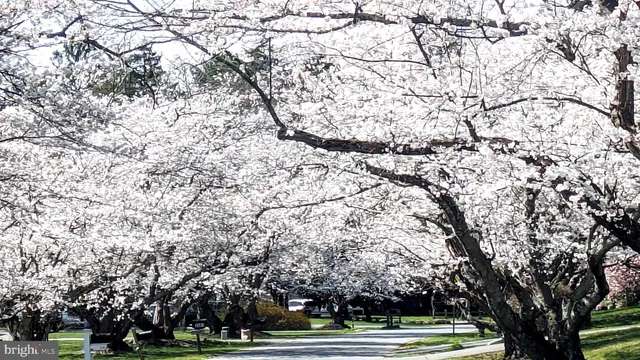 a view of a city view