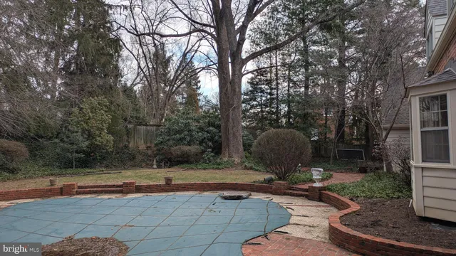 a view of a backyard with potted plants and large trees