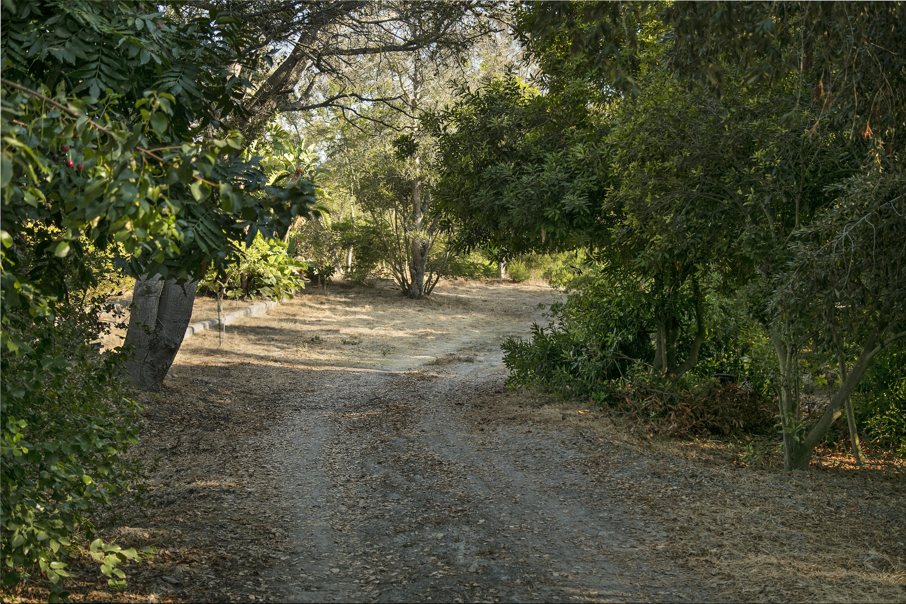 626 Alston Road Santa Barbara, CA 93108 - Photo 4 of 4 Drive Entrance