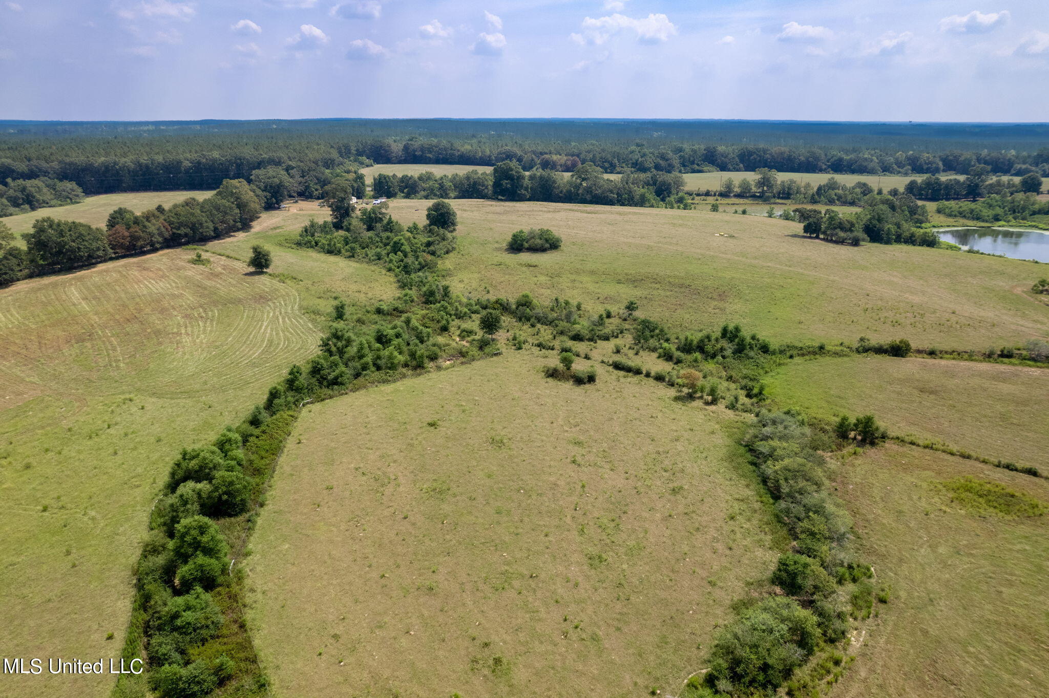 603 Osborn Moody Road Poplarville, MS 39470 - Photo 71 of 72 603_Osborn_Moody_Rd-76