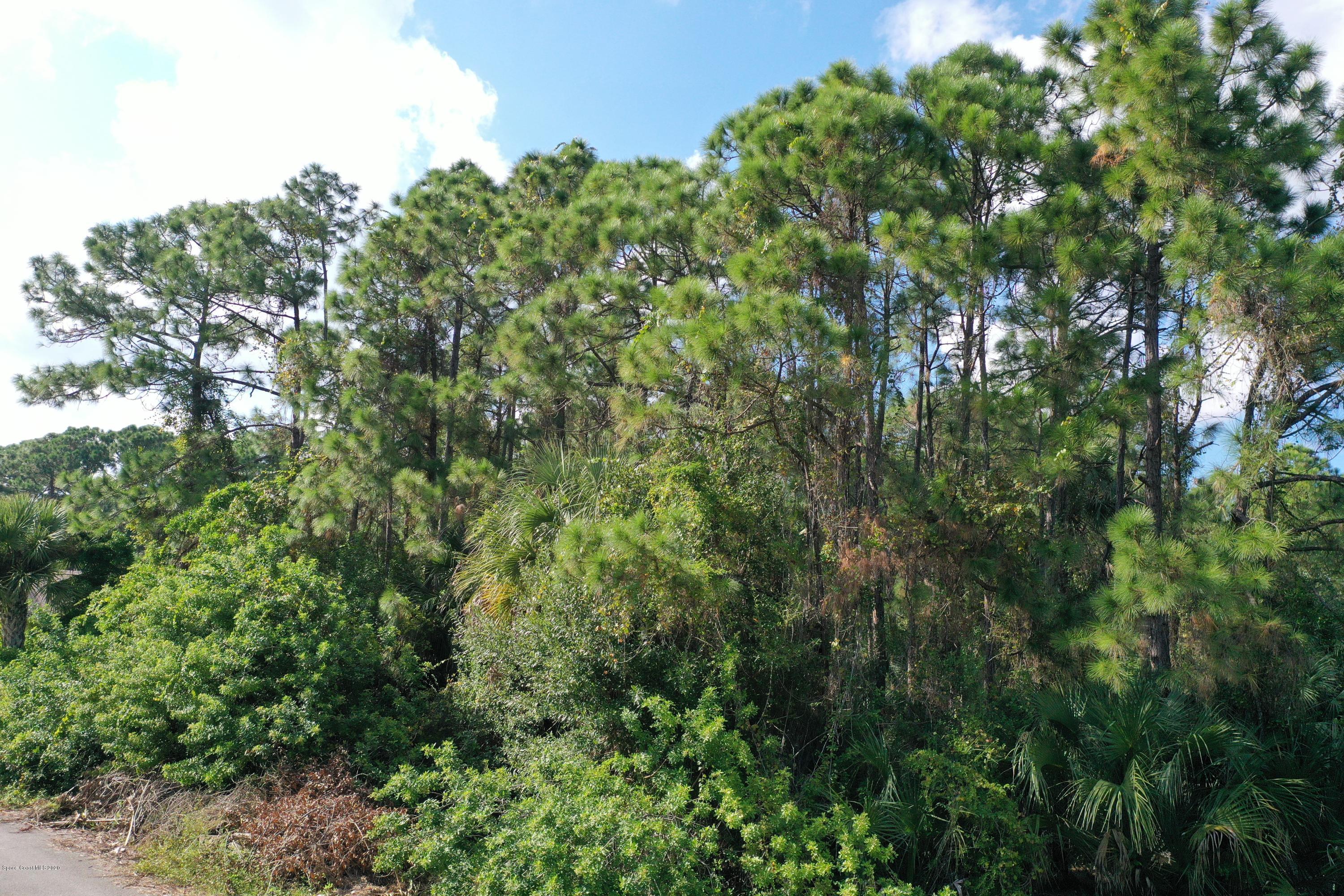 730 Gibbons Road Southwest Palm Bay, FL 32908 - Photo 11 of 11 a view of a lush green forest
