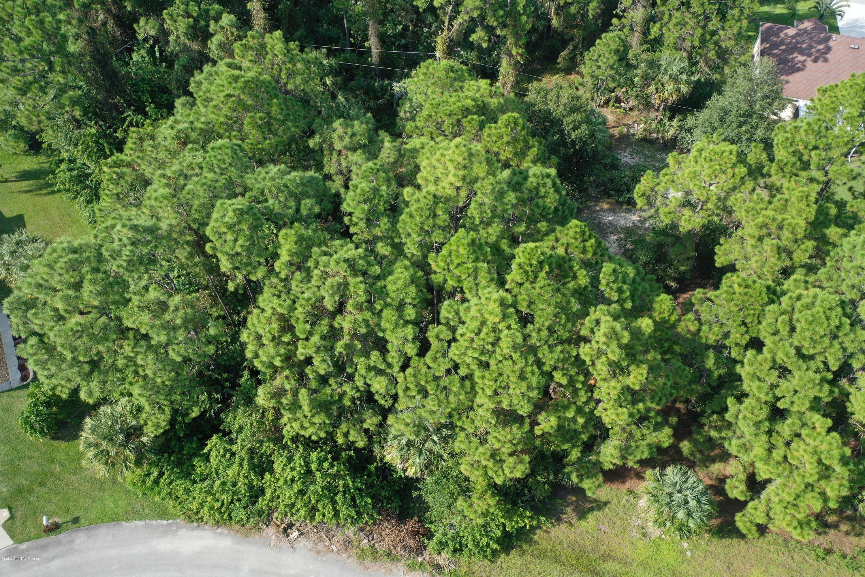 730 Gibbons Road Southwest Palm Bay, FL 32908 - Photo 5 of 11 a view of a lush green forest