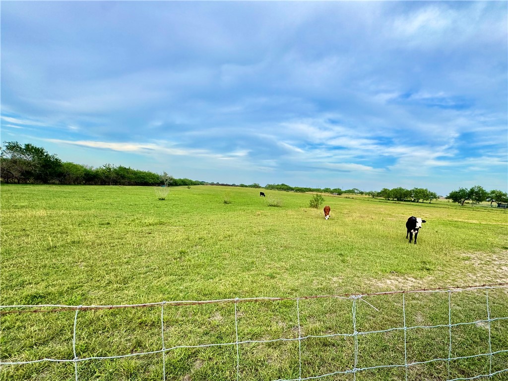 415 County Road 150 Alice, TX 78332 - Photo 7 of 8