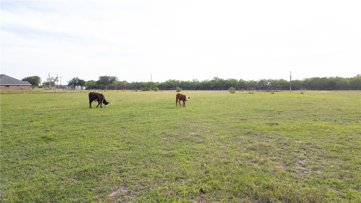 415 County Road 150 Alice, TX 78332 - Photo 8 of 8