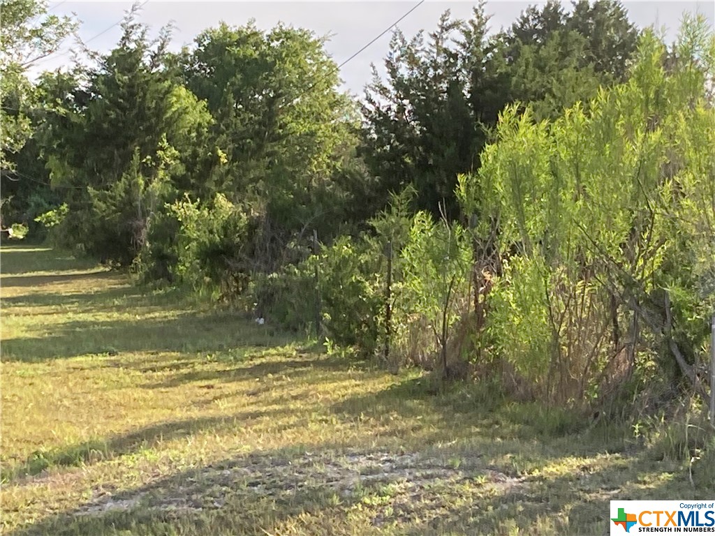 100 Bunny Run Maxwell, TX 78656 - Photo 4 of 7 a view of a tree with a yard