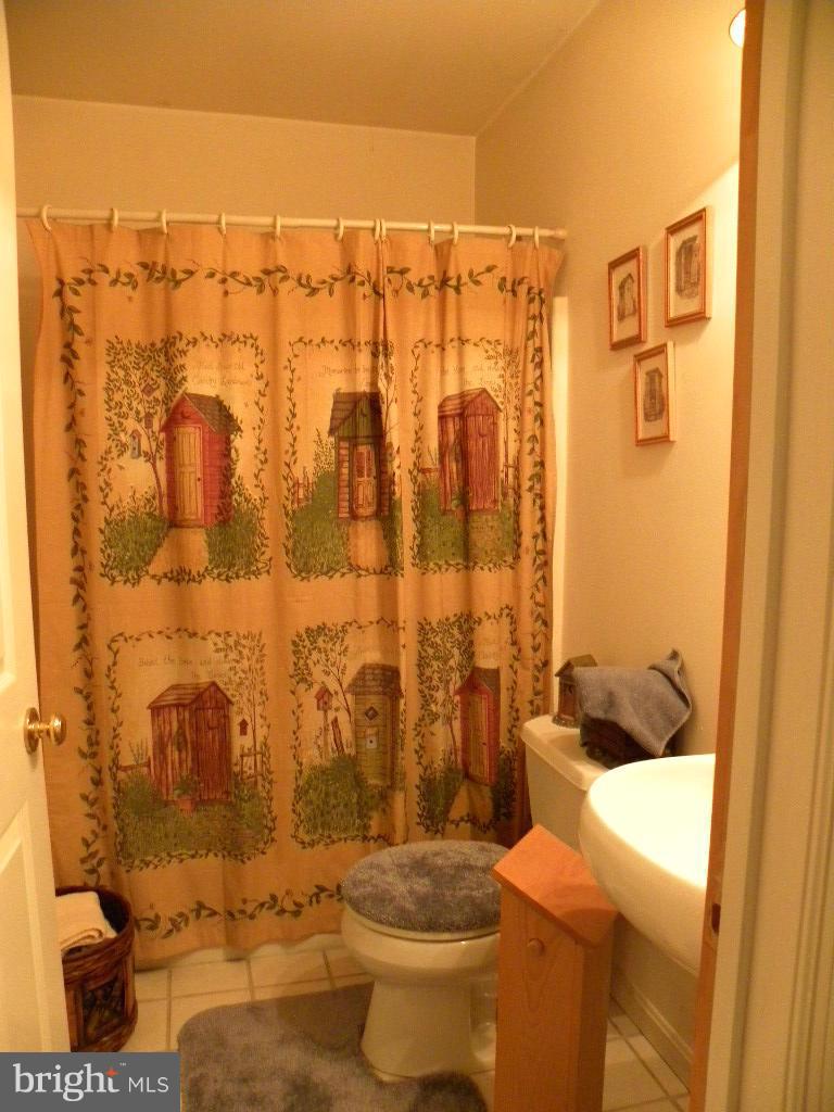1508 Busic Church Road Marydel, MD 21649 - Photo 21 of 28 Bath