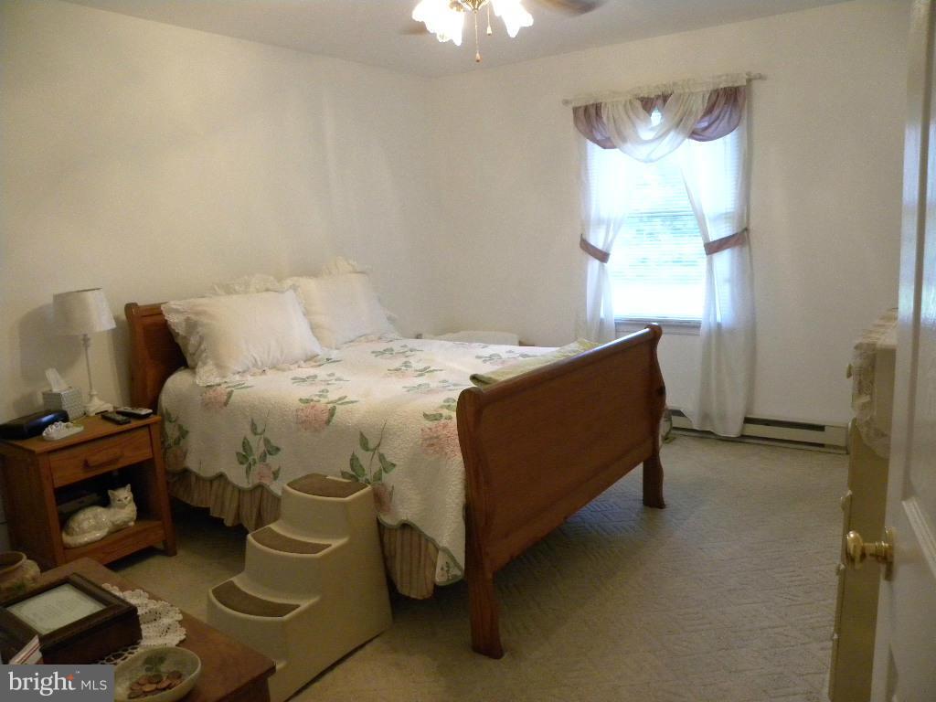 1508 Busic Church Road Marydel, MD 21649 - Photo 22 of 28 Bedroom (Master)