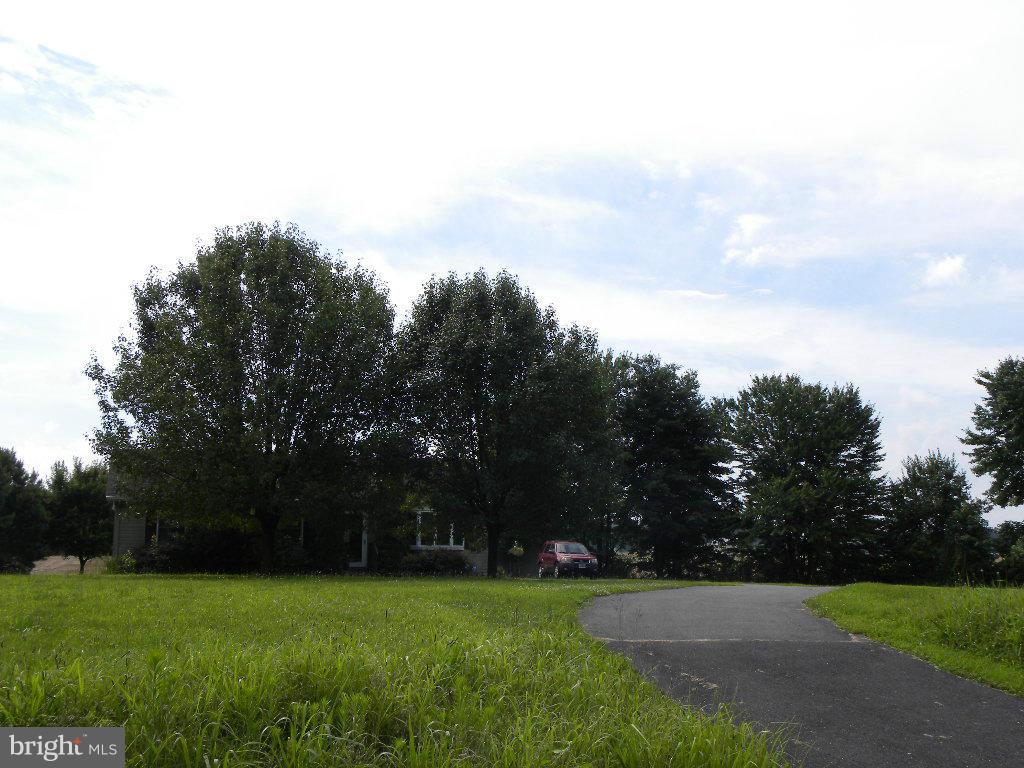 1508 Busic Church Road Marydel, MD 21649 - Photo 4 of 28 Exterior (Front)