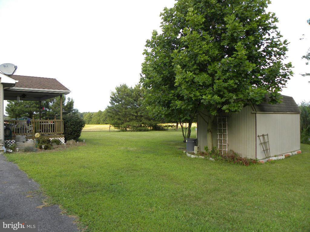 1508 Busic Church Road Marydel, MD 21649 - Photo 10 of 28 Exterior (Rear)