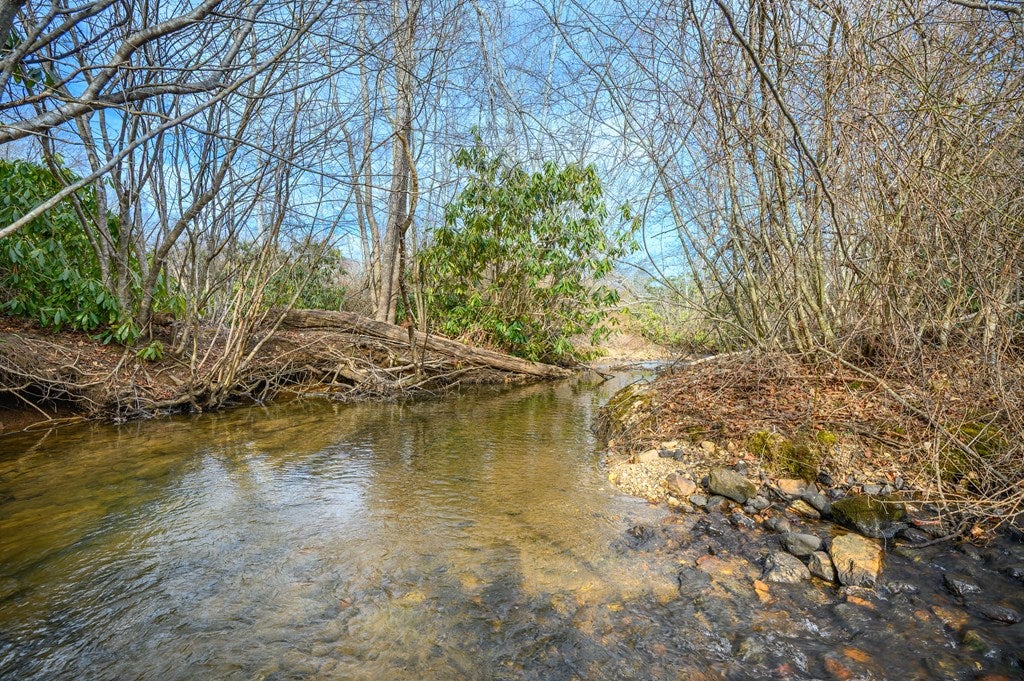 1017 Turner Spur Road Fancy Gap, VA 24328 - Photo 60 of 69 Gallery Image 60
