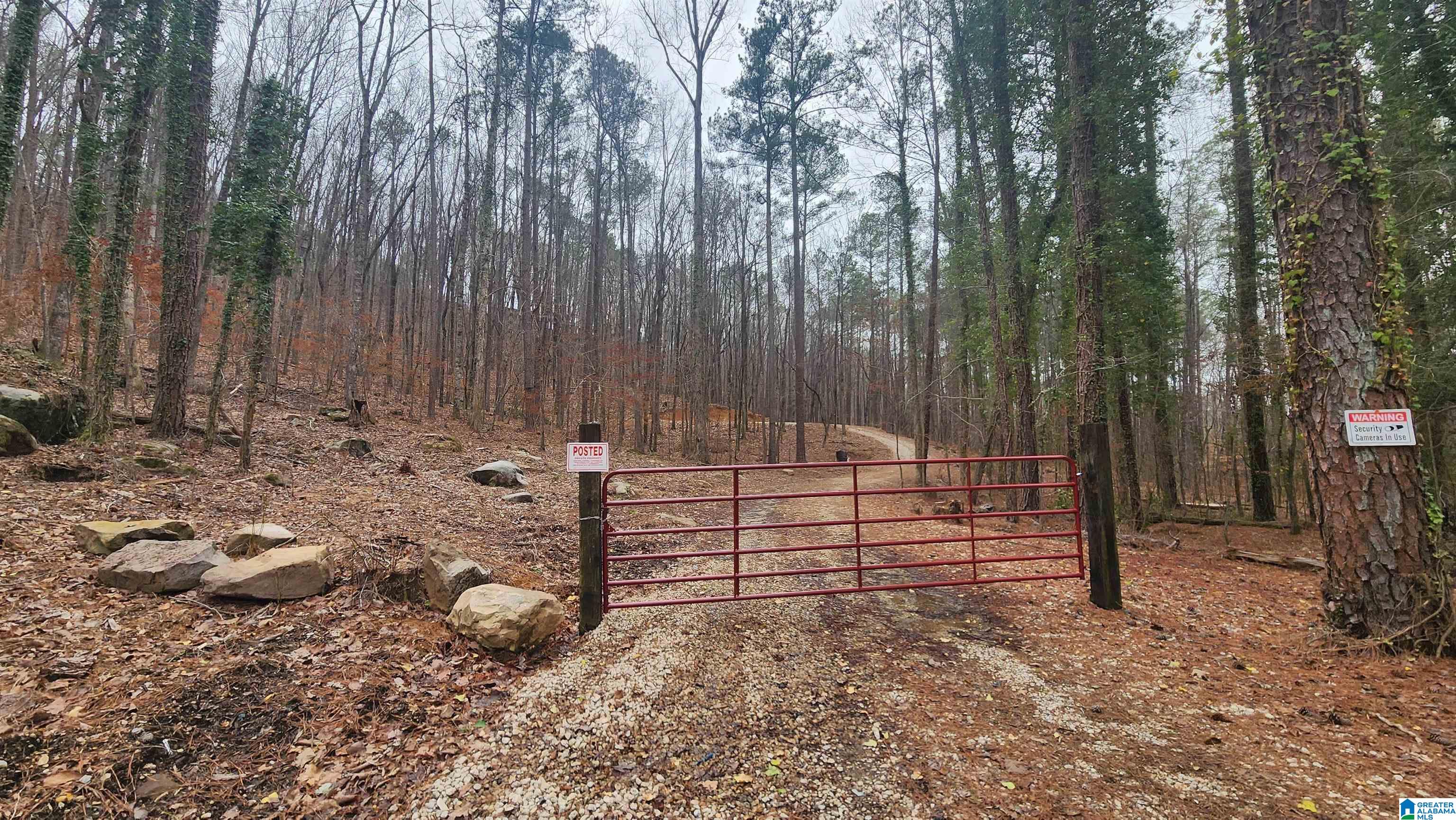 9001 Bluff Ridge Road Bessemer, AL 35022 - Photo 9 of 11