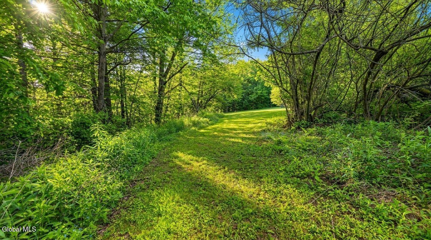 788 Teed Road Sidney Center, NY 13839 - Photo 55 of 73 788-teed-rd-walton-ny-camera-photo.jpg (