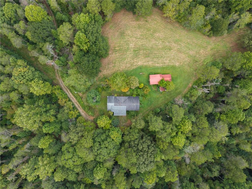 7099 George Barnes Road Murrayville, GA 30564 - Photo 29 of 43 Gallery Image 29
