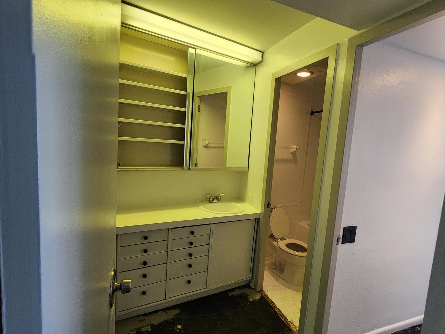 300 North State Street, Unit 4629 Chicago, IL 60654 - Photo 10 of 10 a bathroom with a shower and a sink