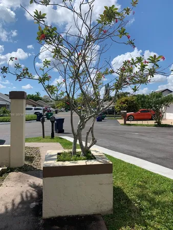 a view of yard with tree in front