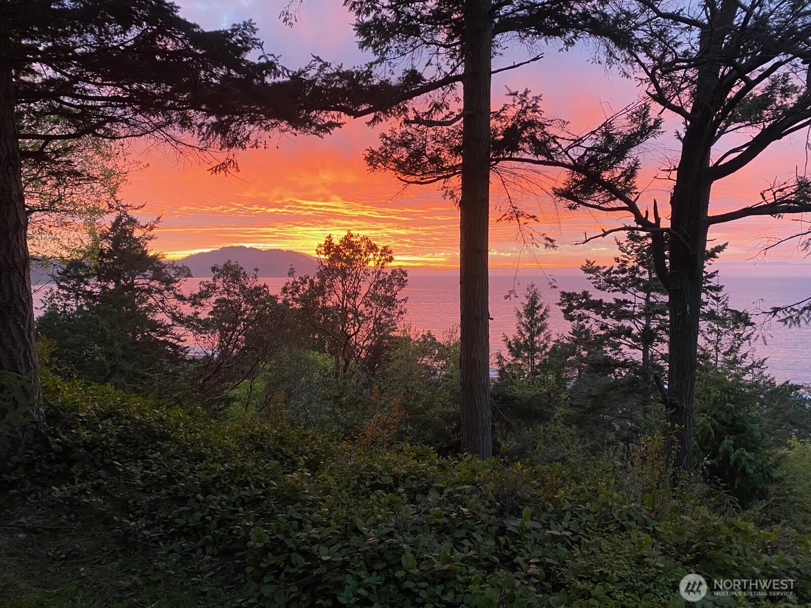 0 Place Road Port Angeles, WA 98363 - Photo 15 of 40 Gallery Image 15