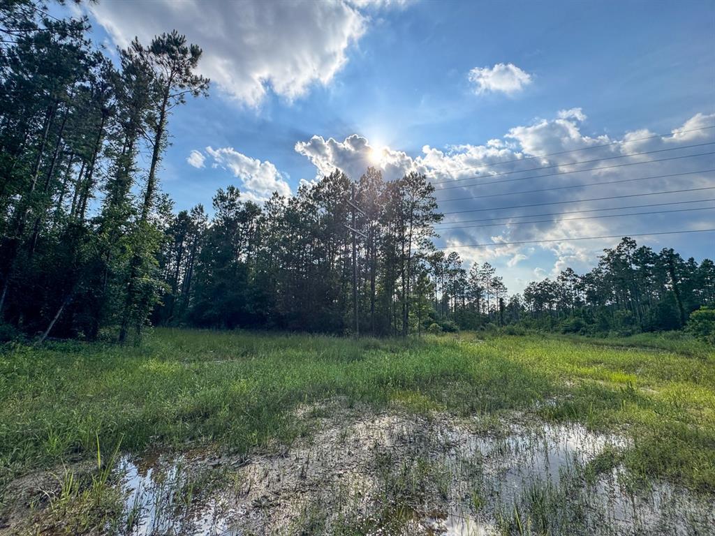0 Highway 165 Kinder, LA 70648 - Photo 5 of 11