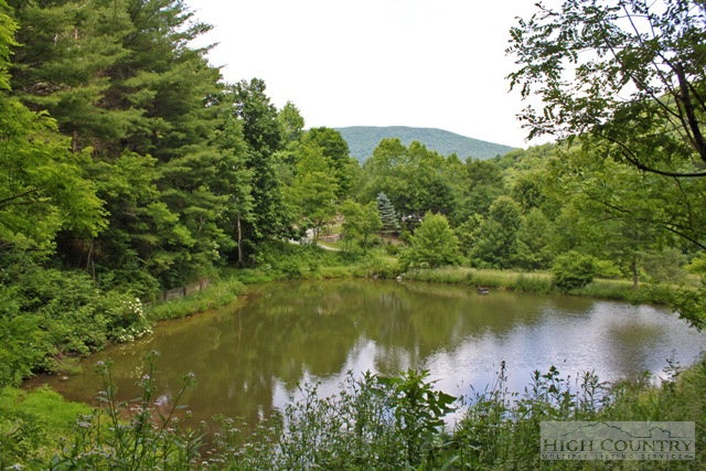 2348 Sutherland Road Creston, NC 28615 - Photo 3 of 37 Gallery Image 3