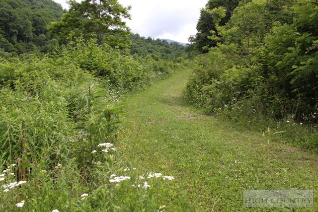 2348 Sutherland Road Creston, NC 28615 - Photo 31 of 37 Gallery Image 31