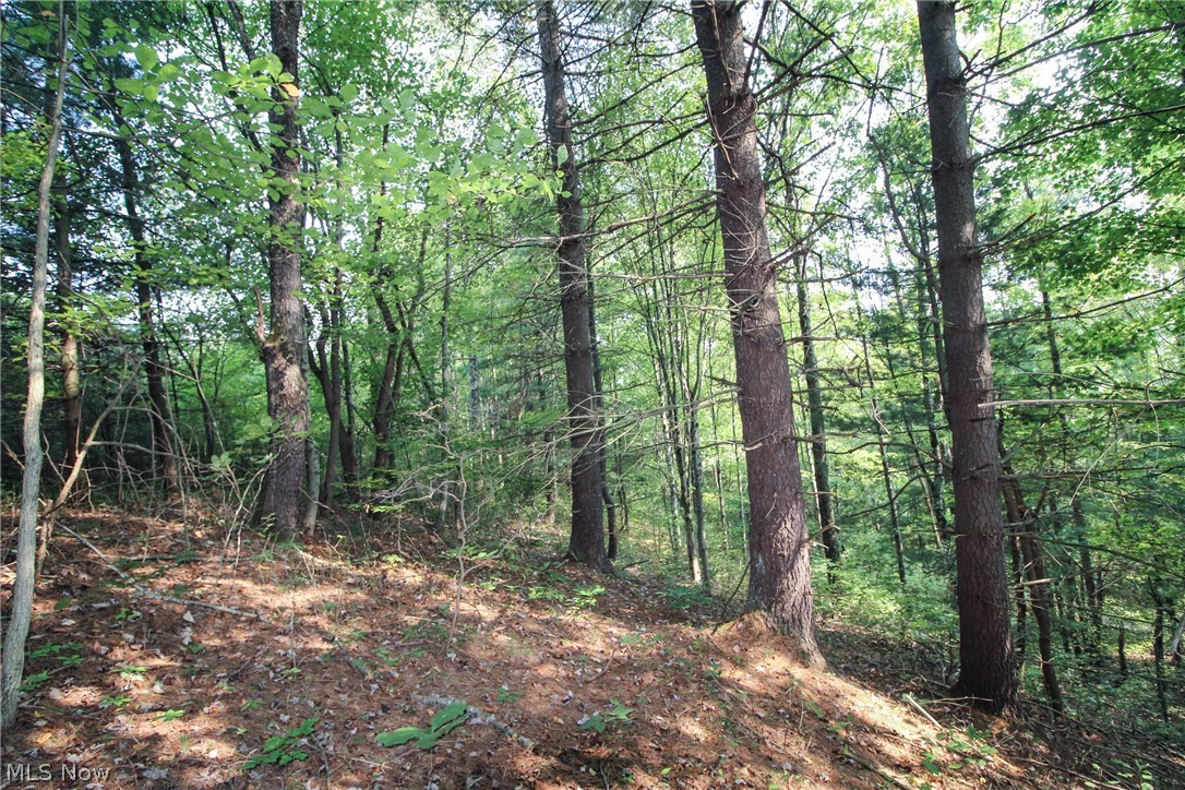 44012 West Union Road Sardis, OH 43946 - Photo 21 of 30 Gallery Image 21