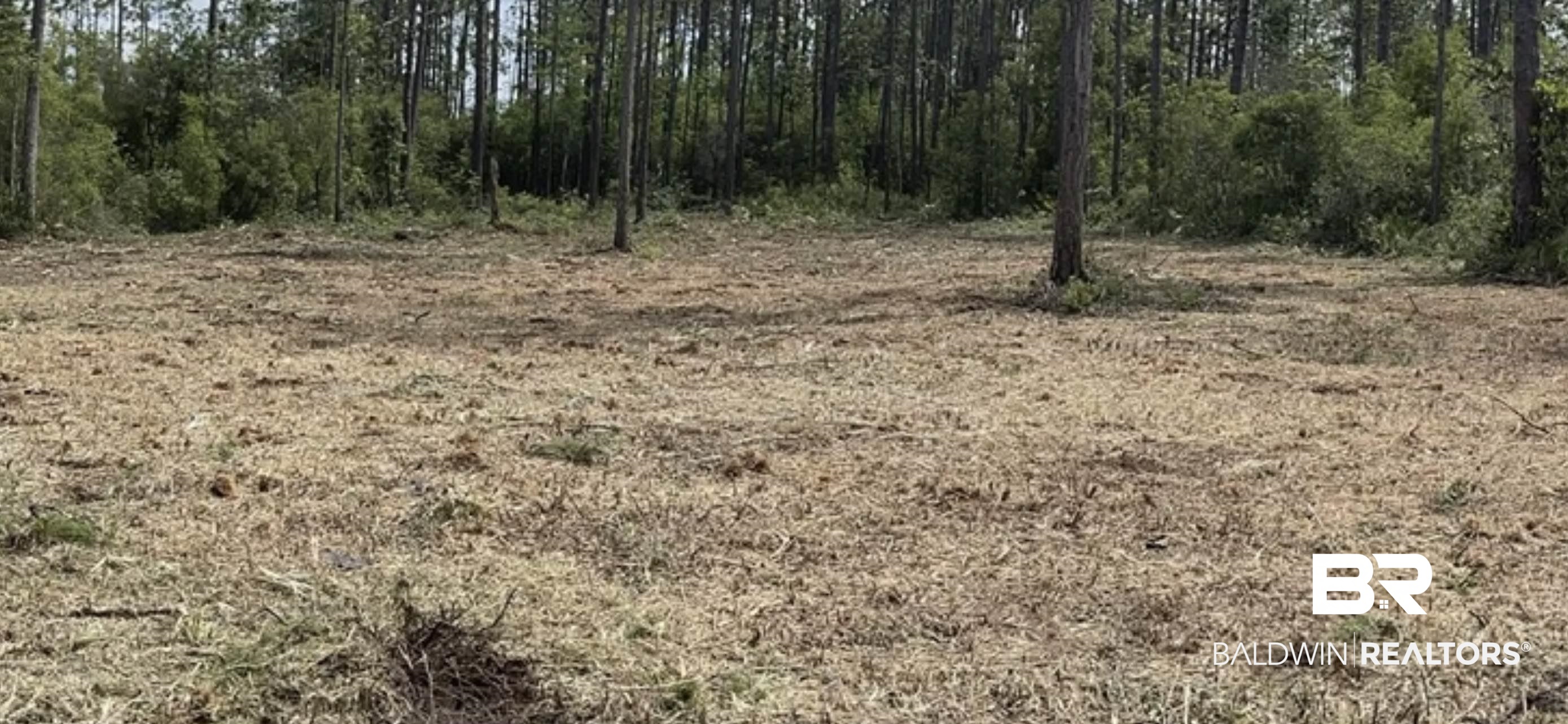 35504 Rester Avenue Lillian, AL 36549 - Photo 1 of 1