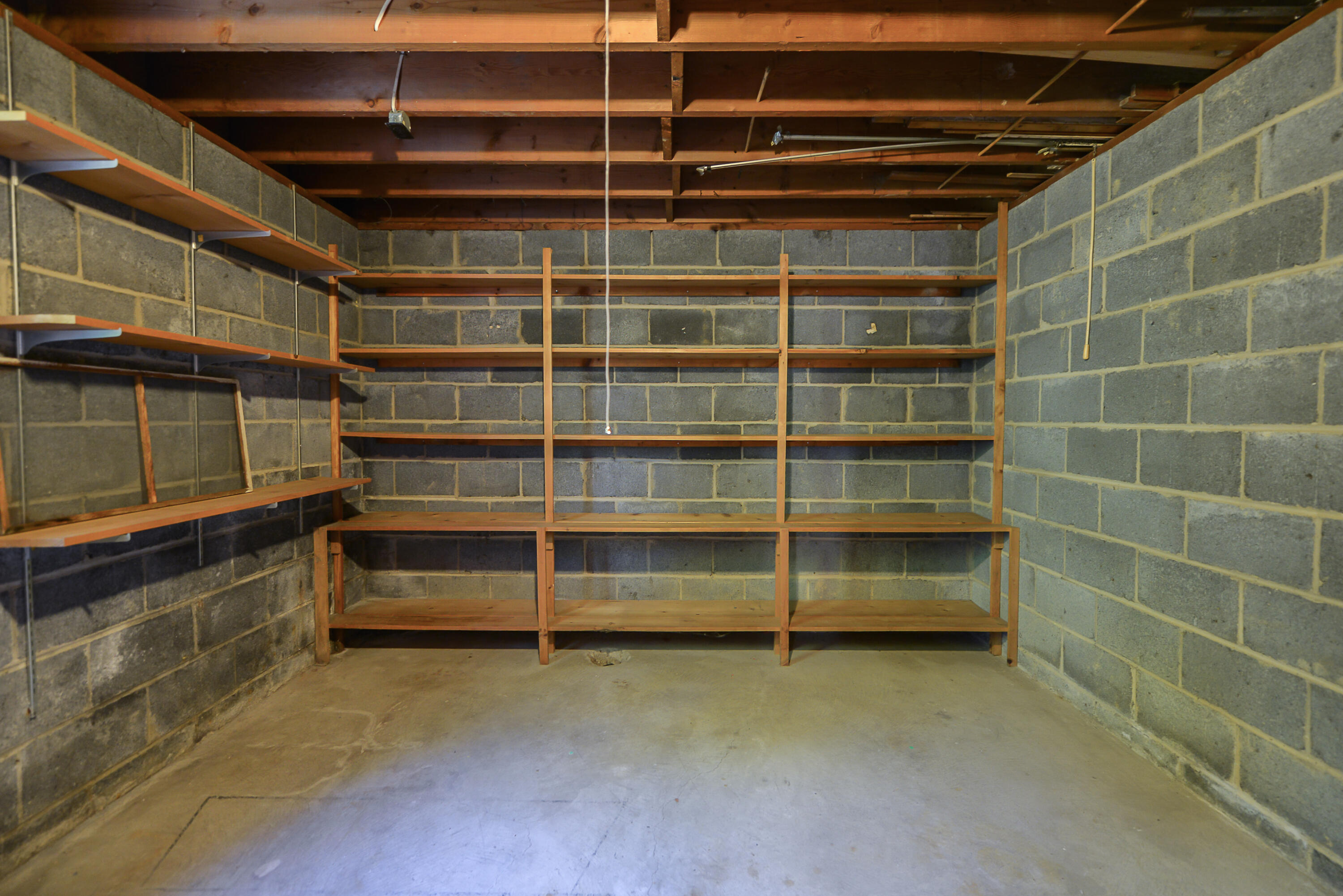 308 Pine Ridge Street Ann Arbor, MI 48103 - Photo 50 of 62 Storage room