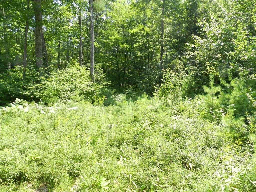 16 Harrison Road Naples, ME 04055 - Photo 7 of 34 Photo