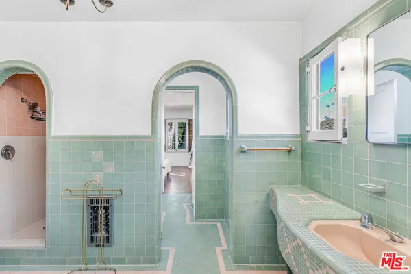 a view of a garden with a tree