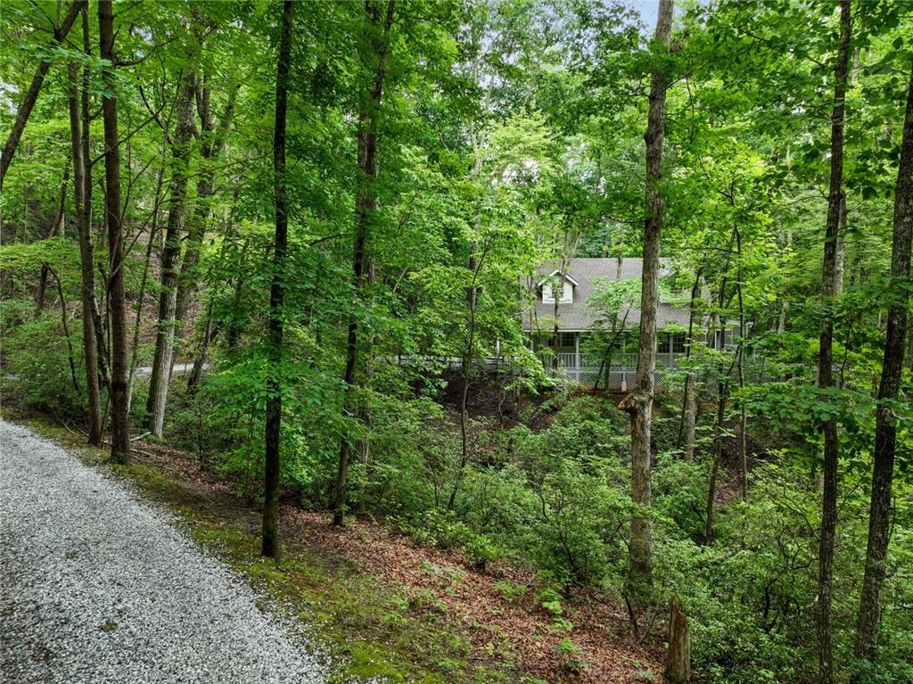 202 Crystal Hill Road Clarkesville, GA 30523 - Photo 3 of 39