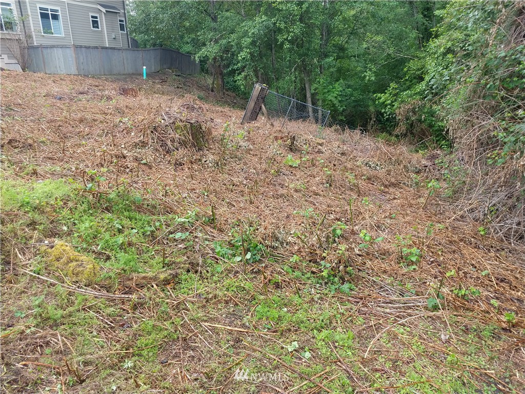 5501 Northeast 10th Street Renton, WA 98059 - Photo 1 of 9 a backyard of a house with lots of green space
