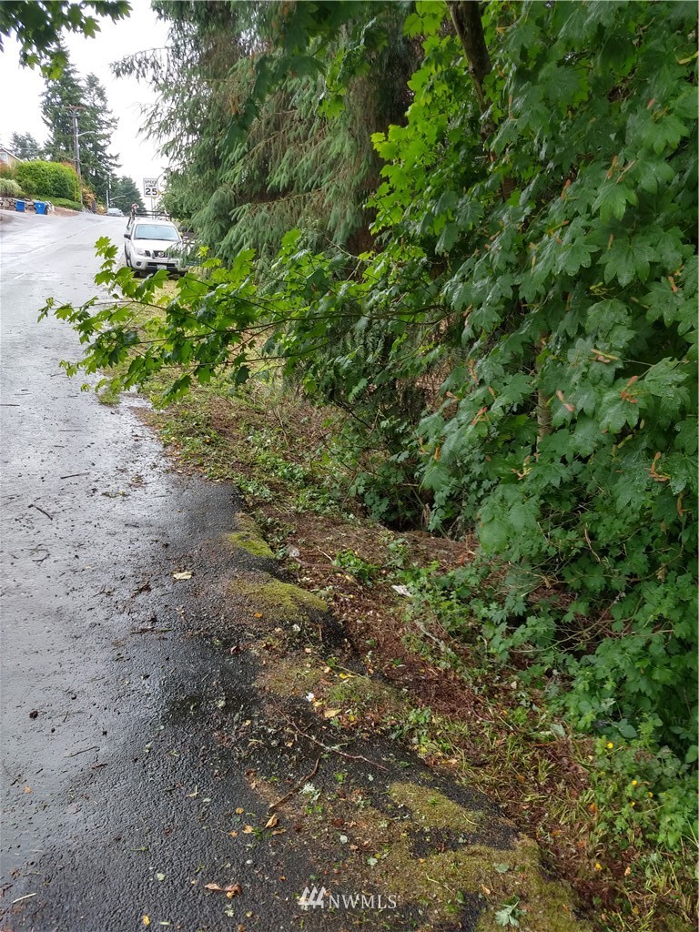 5501 Northeast 10th Street Renton, WA 98059 - Photo 7 of 9 a view of a yard with a tree