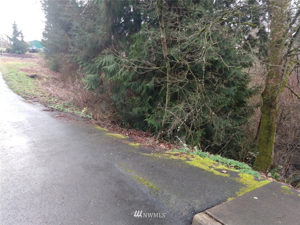 5501 Northeast 10th Street Renton, WA 98059 - Photo 9 of 9 a view of a road with a trees