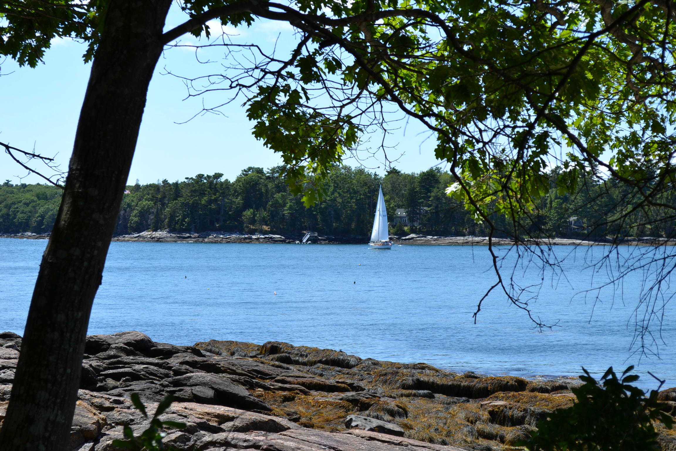 0 Pemaquid Harbor Road Pemaquid, ME 04558 - Photo 1 of 16 DSC_0684