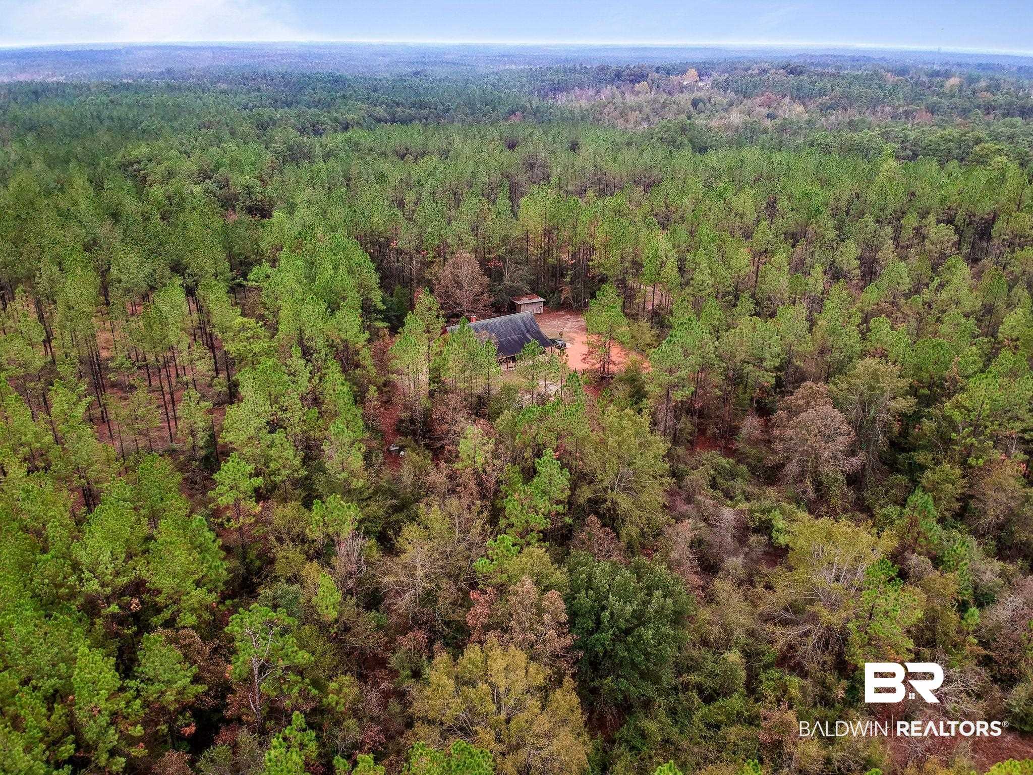 49781 Ronald Sanks Road Bay Minette, AL 36507 - Photo 28 of 29
